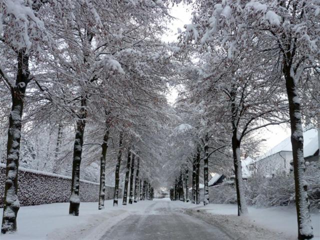 Julieanehab Otel Fredensborg Dış mekan fotoğraf